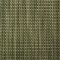 t91hct010-autumn fern